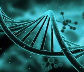 哪个季节广州代怀孕广州代生孩子最好？