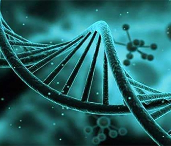 哪个季节广州代怀孕广州代生孩子最好？